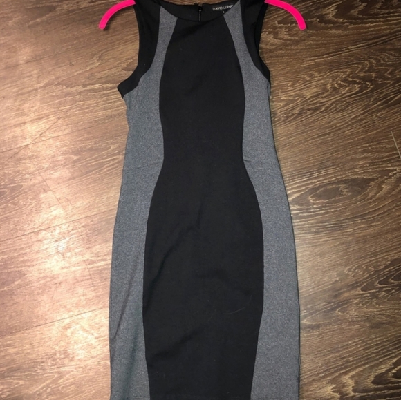 DAVID LERNER Color-block Dress - Picture 3 of 8